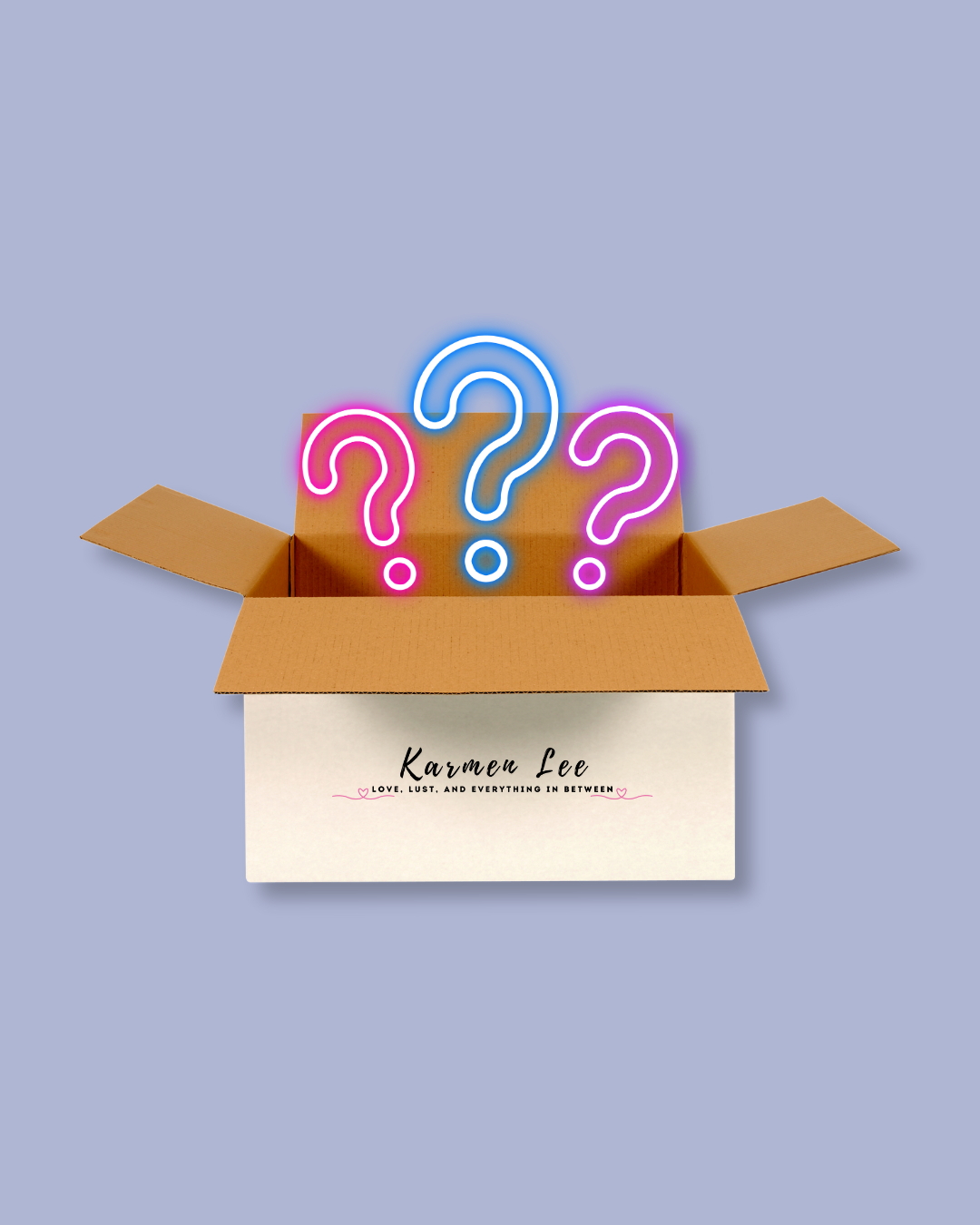 Small Surprise Book Box